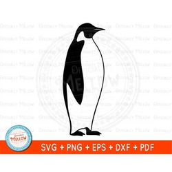 penguin svg, penguin clipart, penguin cut file, penguin vectors, penguin gift, winter svg, digital download