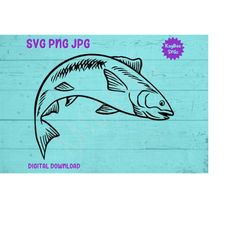 Salmon Fish SVG PNG JPG Clipart Digital Cut File Download for Cricut Silhouette Sublimation Printable Art - Personal Use