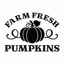 farm fresh pumpkins svg, png, eps, pdf files, pumpkins decor, farm fresh svg, fresh pumpkin svg,  farm pumpkin svg