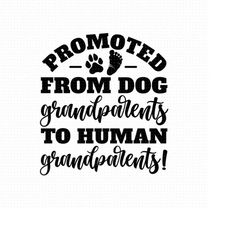 promoted from dog grandparents to human grandparents svg, png, eps, pdf files, dog grandparents svg, promoted from dog