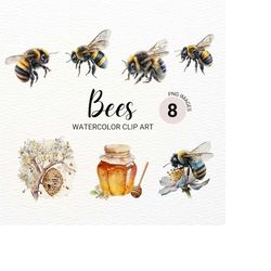 watercolor bumblebee clipart | bee png | summer clipart | honeybee clipart | honey jar | insect clipart | commercial lic