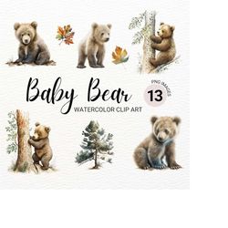 baby bear clipart | watercolor clipart bear | woodland animals | cute forest animals | baby bear png | baby animals prin