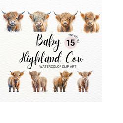baby highland cow png | highland cow baby | highland cow nursery | cow wall art | nursery wall art | baby animals | wate