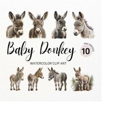 baby donkey png | baby animals | farm animals png | cute donkey | nursery wall art |  farm png | watercolor animals clip