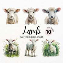 baby lamb clipart | lamb png | baby animals | farm animals png | baby sheep | nursery wall art | cute animals clipart