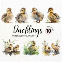 fluffy ducklings png | chicks clipart | baby ducks png | duck watercolor | baby animals | farm animals png | nursery wal