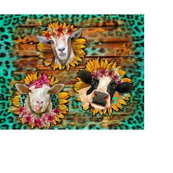 sunflower animal background,sheep background,cow background,goat background,animal background,sunflower,wood background,