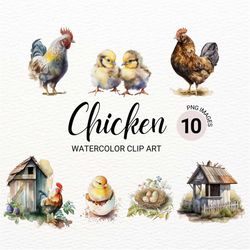 watercolor chicken png | baby animals | baby chick clipart | farm animals png | chicken clipart | chicken coop clipart |