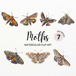 watercolor moth clipart | sphinx moth | watercolor butterfly png | insect clipart | junk journal | digital planner | ins