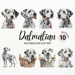 dalmatian clipart | dog png | cute dog clipart | nursery clipart | dog watercolor | puppy images | commercial license