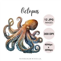 octopus watercolor clipart | sea life octopus jpg | kawaii clipart bundle | junk journal | digital paper craft | instant