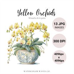 yellow orchids clipart bundle | watercolor spring flowers jpg | floral junk journal | wedding invitation | digital plann