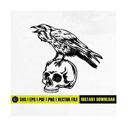 crow on skull svg | death svg | crow clipart svg | gothic horror bird silhouette | raven svg | bird svg | cricut & silho