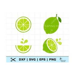 lime svg. lime clipart. lime dxf. lime png. lime eps.  lime cricut cut files, silhouette. fruit svg. layered. cute!