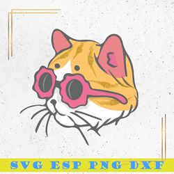 cool cat  svg, cat swag glasses svg, animal svg