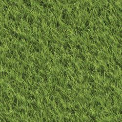 lawn grass 42 pattern pattern tileable repeating pattern