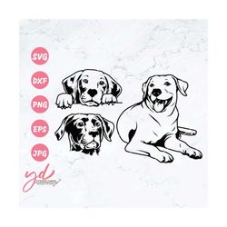 labrador svg | peeking labrador svg | black labrador svg | doggo svg | dog svg | pet svg | labrador retriever | peeking