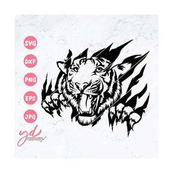 tiger svg | tiger scratch svg | tiger claw svg | tiger decals | tiger animal svg | tiger look svg | tiger cut files | fi