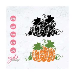 pumpkin svg | fall svg | swirly pumpkin svg |  halloween svg - swirly pumpkin | pumpkin clipart | patterned pumpkin svg