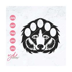 bear paw with bear face svg png | bear svg | bear face svg | bear paw svg | grizzly bear svg | outdoor svg | black bear