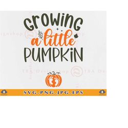 growing a little pumpkin svg, fall pregnancy announcement shirt svg, funny halloween gender reveal, thanksgiving, cut fi