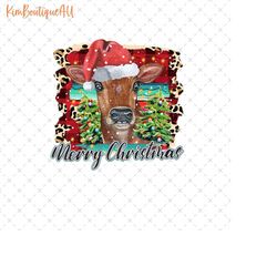 merry christmas funny cow png, western cow christmas png, funny cow christmas png, christmas highland cow png, cow lover