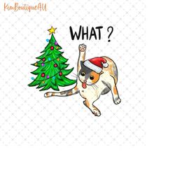 christmas cat what png, cute cat christmas png, cat lover christmas png, christmas pine tree png, xmas gift for pet love