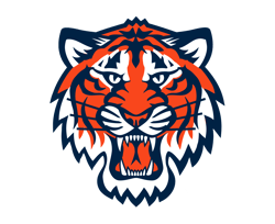 auburn tigers svg, tigers svg, auburn football svg, sport svg, ncaa svg, football svg, football desig, digital download