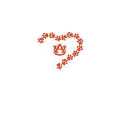 auburn tigers svg, tigers svg, auburn football svg, sport svg, ncaa svg, football svg, football desig, digital download