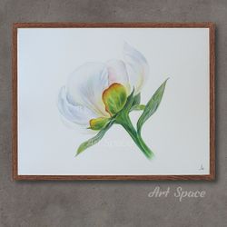 original watercolor painting ""white peony"  kitchen decoration,art,botany illustration, playroom, decoration for office