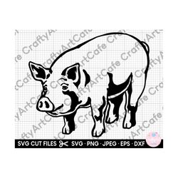 pig svg, pig png, pig svg cut file cricut, pig silhouette, pig clipart