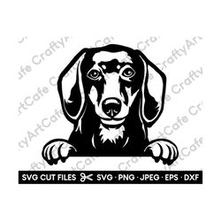 Dachshund Peeking Svg Dachshund Silhouette Svg Dachshund Png Weiner Doxie Clip Art