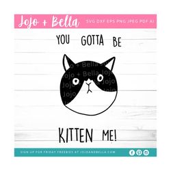 you gotta be kitten me! svg - svg, dxf, eps, jpeg, png, ai, pdf, cut file - kitten svg - funny kitten t-shirt graphic -