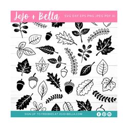 fall leaves svg bundle - 25 designs, fall leaves svg, fall leaf svg, fall leaves png, autumn svg files for cricut, silho