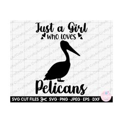 just a girl who loves pelicans svg png pelican svg pelican png