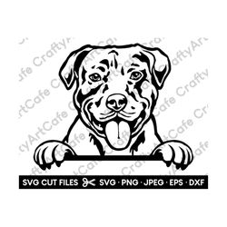 pit bull peeking silhouette svg american pit bull svg cut file cutting cricut png