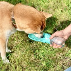 foldable dog & pet water bottle 350ml