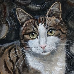 cat tiger pet portrait original oil painting hand painted modern impasto painting wall art 6x9 inches