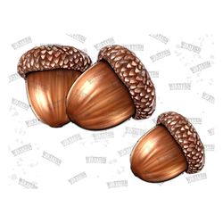 acorns png, sublimation png, thanksgiving png, fall png, acorn sublimation, acorn clipart, digital download, png designs