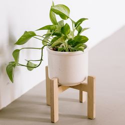 planter stand - la selva