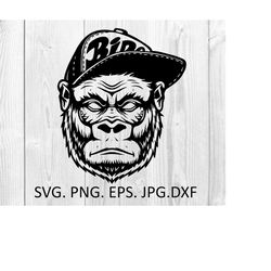 gorilla svg angry gorilla clipart monkey logo svg gorilla head silhouette files cricut laser cut cnc gorilla vector svg