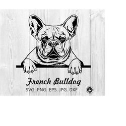 bulldog svg file for cricut,franch bulldog peeking face svg ,frenchy png,dog svg,dog mom svg,dog dad svg,peeping paws,di