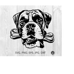 boxer svg, peeking boxer dog breed, boxer with bone teeth, cute funny boxer,head,clipart,vector,cricut,print file,downlo