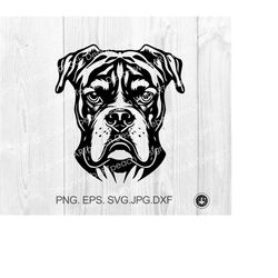 boxer svg,peeking boxer dog breed,boxer png,cute funny boxer,head,boxer clipart,vector,cricut,print file,download,png,ep