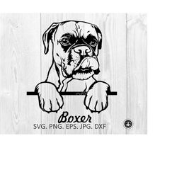 boxer svg,peeking boxer dog breed,boxer with tongues,cute funny boxer,head,clipart,vector,cricut,print file,download,png