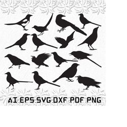 magpie bird svg, magpie svg, bird svg, birds, nature, svg, ai, pdf, eps, svg, dxf, png