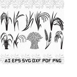 paddy svg, paddys svg, rice svg, work, padds, svg, ai, pdf, eps, svg, dxf, png