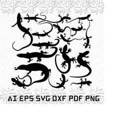 skink svg, skinks svg, lizard svg, lizards, animal, svg, ai, pdf, eps, svg, dxf, png