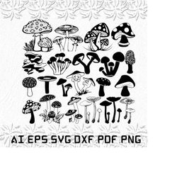 vegetable svg, mushroom fairy svg, mushroom garden svg, mushroom, magic mushroom, svg, ai, pdf, eps, svg, dxf, png