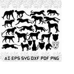 cheetah svg, cheetahs svg, leopard svg, animal, animals, svg, ai, pdf, eps, svg, dxf, png